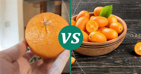 kumquat vs orange